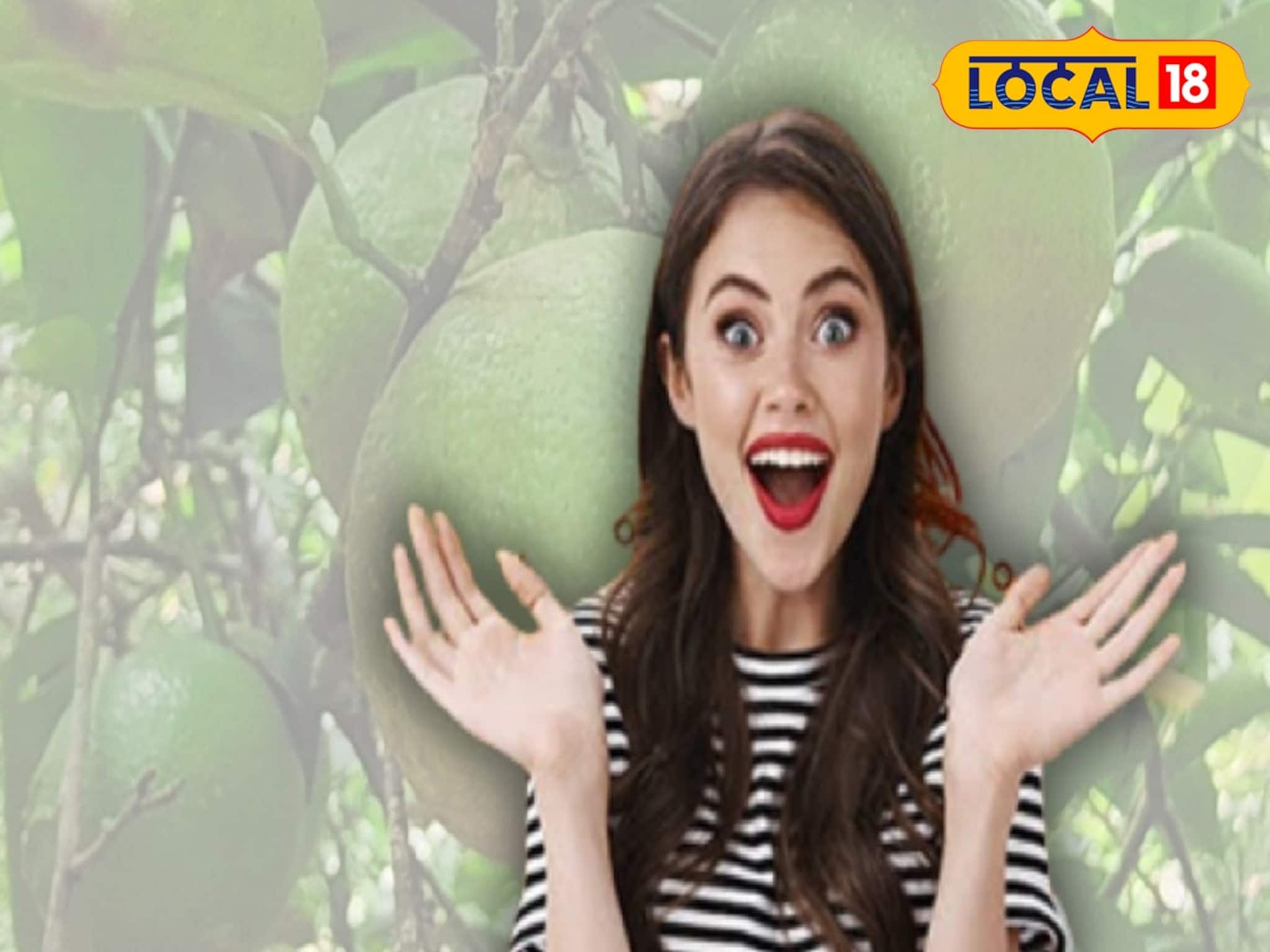 'এই' ফলের চাষ বড়লোক হওয়ার সুযোগ করে দিচ্ছে চাষিদের