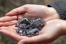 সোনা, রুপো, প্ল্যাটিনাম ছাড়ুন...! আগামী ১০ বছরে সোনার চেয়েও 'দামি' হবে এই 'মেটাল'