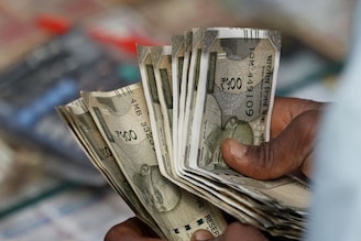 অল্প জমিতেই কামাল, এই চাষে কম সময়েই আয় লাখ-লাখ, মিলবে সরকারের ১ লক্ষ টাকা ভর্তুকিও