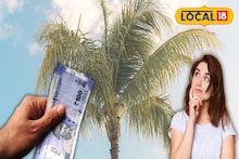 Money Making Idea: নারকেল গাছের অপ্রয়োজনীয় অংশকে কাজে লাগিয়েই বিরাট ব্যবসা! রোজ রোজ অঢেল টাকা রোজগার করছেন মেদিনীপুরের ব্যবসায়ীরা