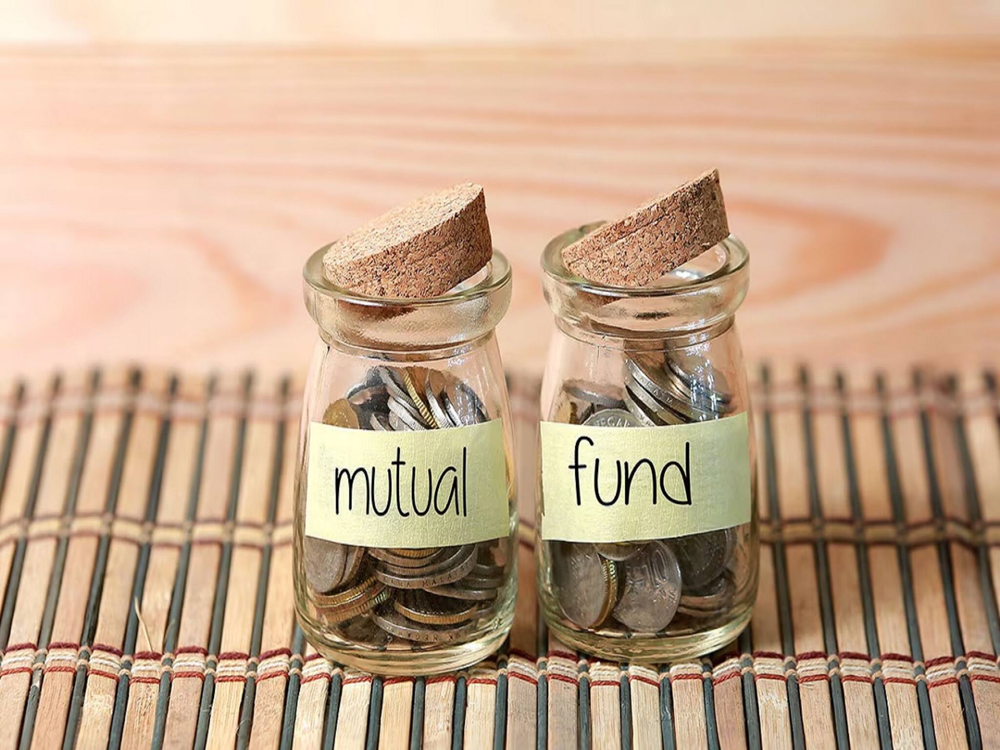 Mutual Fund Return: এই মিড-ক্যাপ মিউচুয়াল ফান্ড দিচ্ছে ব্যাপক রিটার্ন, বার্ষিক ২২% বৃদ্ধি পাচ্ছে, দেখে নিন এক ঝলকে