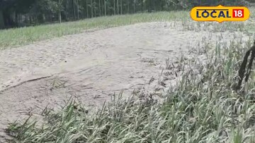 ক্ষতিগ্রস্ত