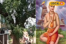 হাজার ঝড়-ঝাপটা, দুর্যোগেও অটুট, এই নিমগাছ দেখতে প্রতিদিন আসেন বহু মানুষ! কী আছে?