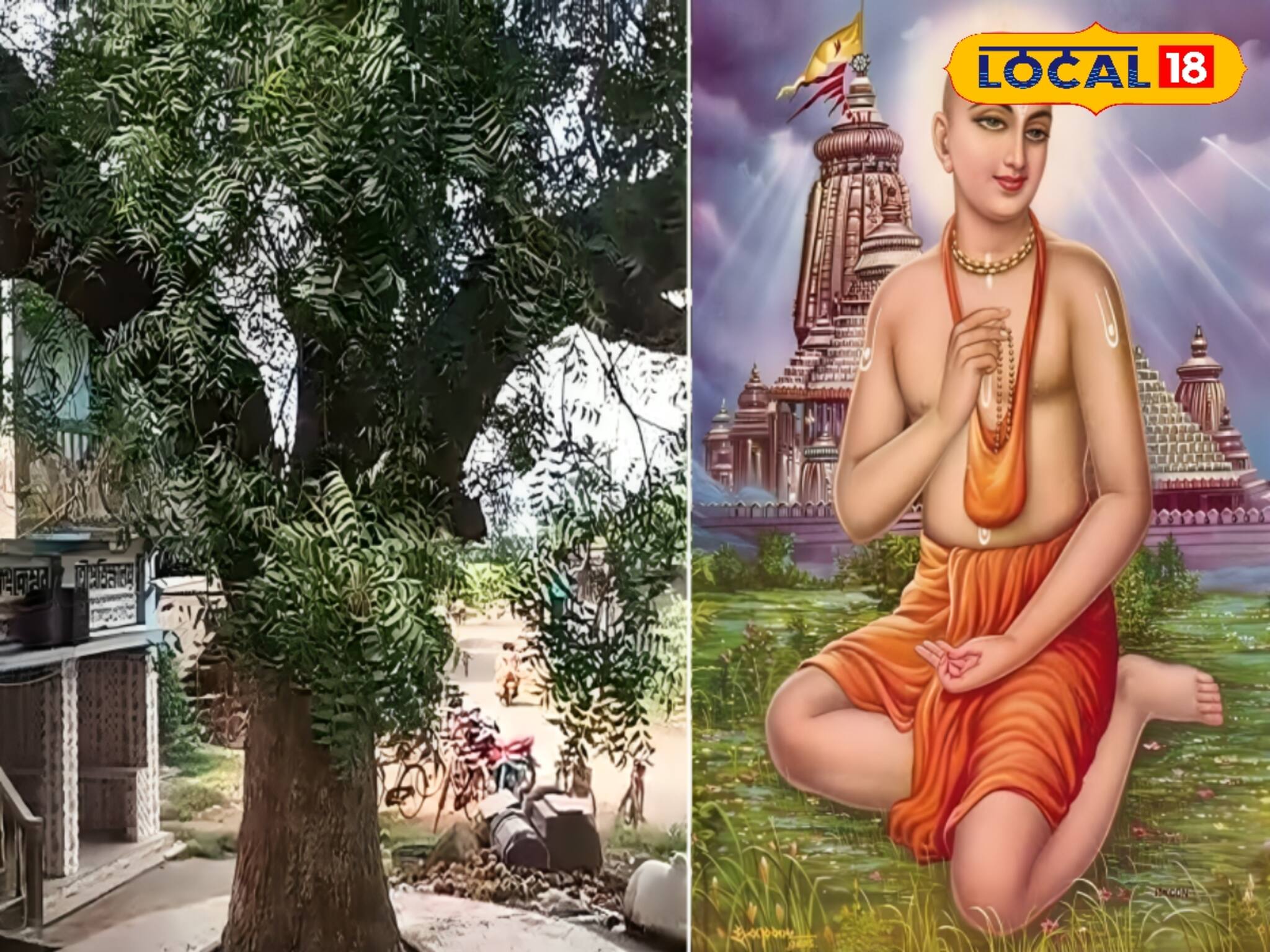 হাজার ঝড়-ঝাপটা, দুর্যোগেও অটুট, এই নিমগাছ দেখতে প্রতিদিন আসেন বহু মানুষ! কী আছে?