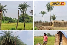 নলেন গুড় প্রেমীদের জন্য খারাপ খবর! কার্তিকেও অধরা খেজুর রস, অপেক্ষা করতে হবে আর কত দিন?