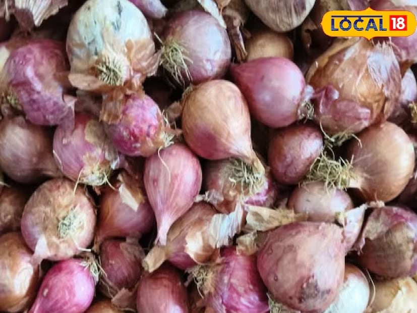 সাবেক জেলা আয়ুর্বেদ আধিকারিক ডা. দামোদর প্রসাদ চতুর্বেদী জানিয়েছেন, “খাবারের সঙ্গে পেঁয়াজ খাওয়া অবশ্যই উপকারী, কিন্তু যেসব পেঁয়াজে কালো ছত্রাক দেখা যায়, তা শরীরের পক্ষে ক্ষতিকর।”