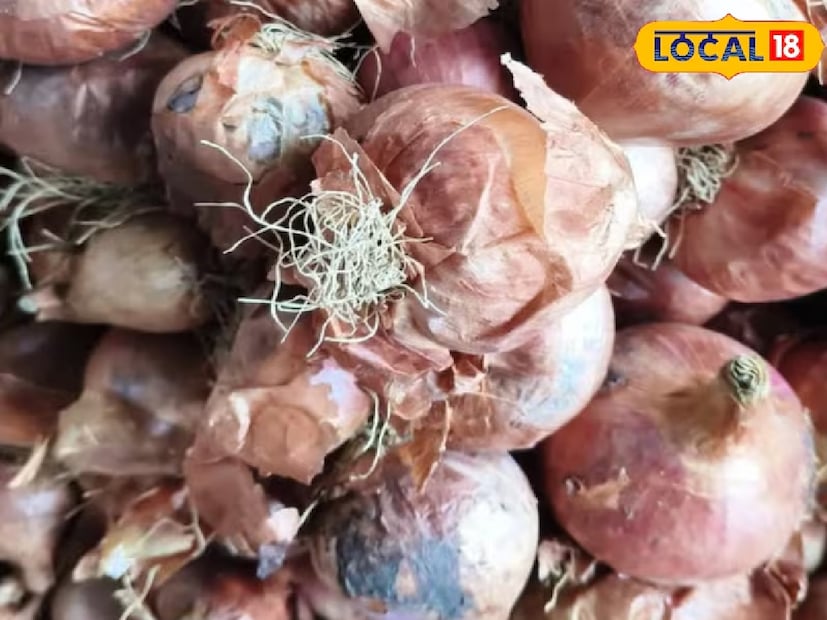 পেঁয়াজ সাধারণত মাটির নিচে বেড়ে ওঠে, তাই সেখানে উপস্থিত ছত্রাকে সহজেই সংক্রমিত হয়। Aspergillus niger নামের এই ছত্রাক পেঁয়াজের বাইরের খোসা ছাড়ালে কালো বা বাদামি ছোপের আকারে দেখা দেয়। হাত দিয়ে ঘষলে দাগগুলো সহজেই উঠে যায়—এটাই সংক্রমিত পেঁয়াজের প্রধান লক্ষণ।