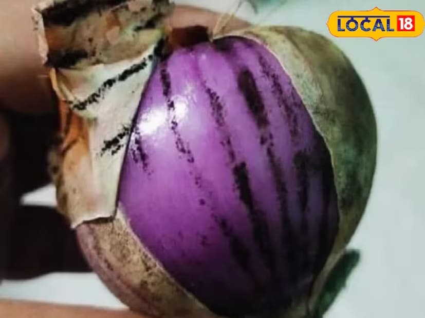 সবচেয়ে গুরুত্বপূর্ণ, পেঁয়াজ খাওয়ার আগে ভালো করে খোসা ছাড়িয়ে, ধুয়ে এবং দাগ আছে কি না তা পরীক্ষা করে নেওয়া উচিত। কারণ কালো দাগযুক্ত পেঁয়াজ খেলে হতে পারে মাথাব্যথা, পেটব্যথা, বমি ও ডায়রিয়া। তাই এই ধরনের পেঁয়াজ এড়িয়ে চলাই বুদ্ধিমানের কাজ।