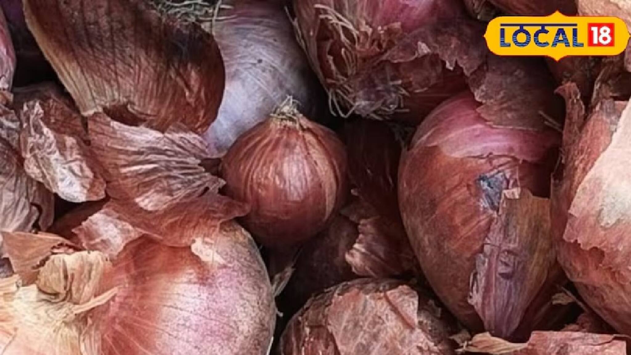 পেঁয়াজের গায়ে কালো কালো দাগ কেন হয়? সর্বনাশ হওয়ার আগে জেনে নিন কীভাবে চিনবেন ও প্রতিরোধ করবেন 