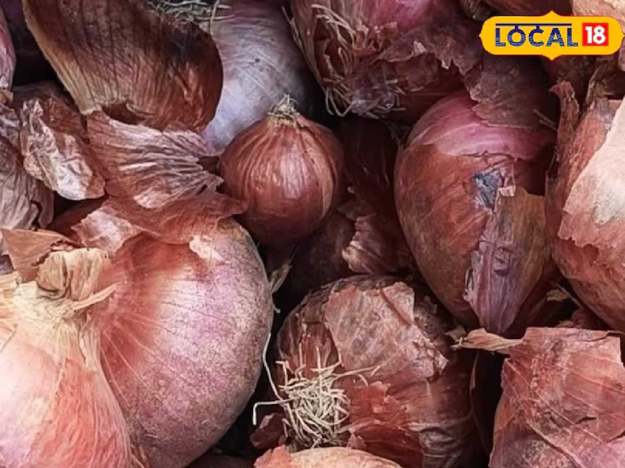 পেঁয়াজের গায়ে কালো কালো দাগ কেন হয়? সর্বনাশ হওয়ার আগে জেনে নিন কীভাবে চিনবেন ও প্রতিরোধ করবেন 