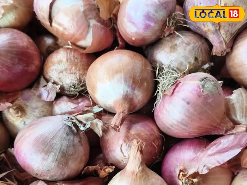পেঁয়াজ আমাদের প্রতিদিনের খাবারের একটি অপরিহার্য অংশ—হোক তা সালাদে বা রান্নায়। তবে অনেক সময় পেঁয়াজের খোসা ছাড়ালে দেখা যায় কালচে দাগ বা ছত্রাকের মতো দাগ তৈরি হয়েছে। সাবধান! এই দাগই হতে পারে ব্ল্যাক ফাঙ্গাস-এর সংক্রমণ, যা স্বাস্থ্যের জন্য ক্ষতিকর। পেঁয়াজ আমাদের প্রতিদিনের খাবারের একটি অপরিহার্য অংশ—হোক তা সালাদে বা রান্নায়। তবে অনেক সময় পেঁয়াজের খোসা ছাড়ালে দেখা যায় কালচে দাগ বা ছত্রাকের মতো দাগ তৈরি হয়েছে। সাবধান! এই দাগই হতে পারে ব্ল্যাক ফাঙ্গাস-এর সংক্রমণ, যা স্বাস্থ্যের জন্য ক্ষতিকর।