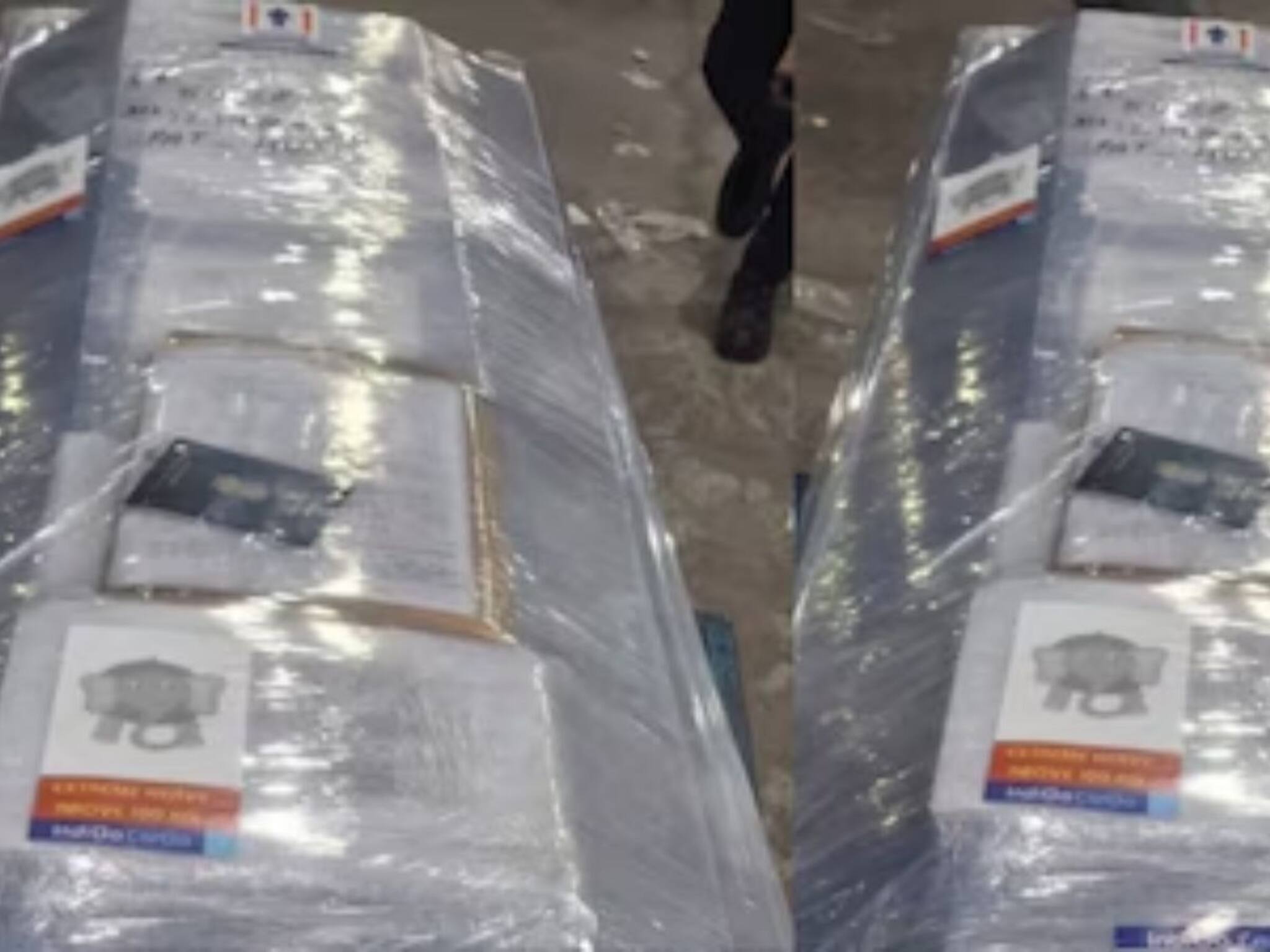 ফের বিতর্কের মুখে বিমানসংস্থা, কফিনে অত্যন্ত ভারী, ১০০ কেজির বেশি লেখা-সহ 'হাতি'র স্টিকার লাগাতেই যা ঘটল...