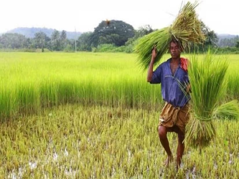 ই-ফর্ম রেজিস্ট্রি যাচাই করা অপরিহার্যপরিসংখ্যান অনুসারে, জেলার ৩৫৩,০০০-এরও বেশি কৃষককে ৯ কোটি টাকার বেশি অর্থ প্রদান করা হয়েছে, যেখানে প্রায় ৫০% কৃষক এই সুবিধা থেকে বঞ্চিত কারণ তাঁদের ই-ফর্ম রেজিস্ট্রি যাচাই করা হয়নি।