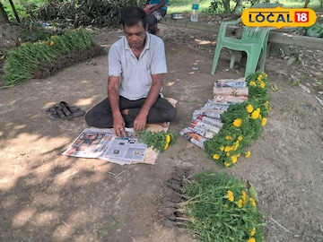 ফুলের