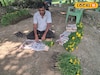 বর্ধমানে ফুলের স্বর্গ, টেক্কা দিতে পারে ক্ষীরাইয়ের সঙ্গে! শীতের দিনে হোক নতুন গন্তব্য