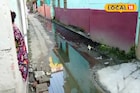 নিকাশি নালার জমা জলে বেনজির দুর্ভোগ! পরিদর্শনে যেতেই তুলকালাম, তারপরেই বড় নির্দেশ