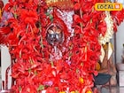 রঘু ডাকাতের আরাধ্য দেবী কীভাবে নাম পেলেন হারমোনিয়াম বাবার কালী! জানুন