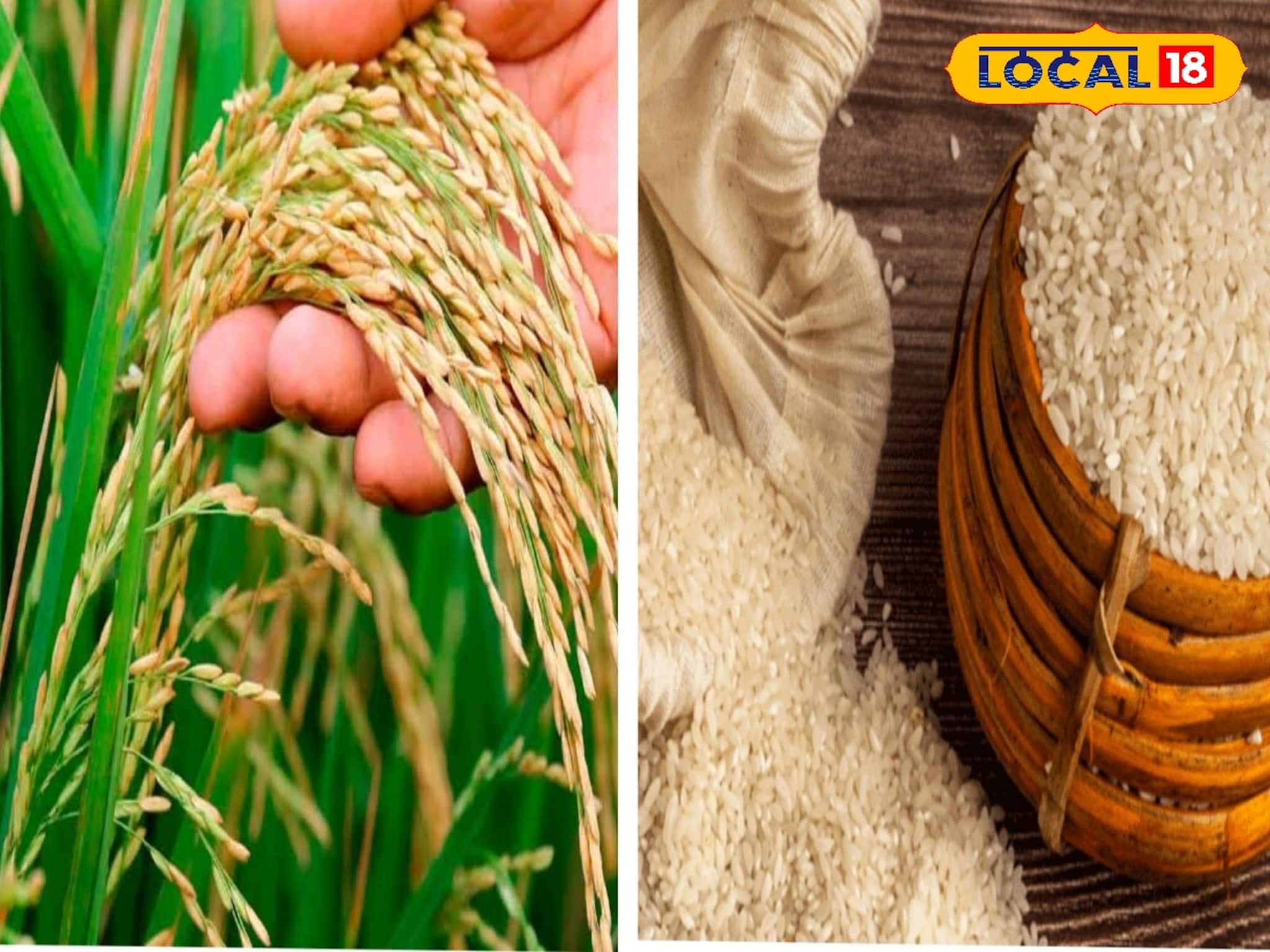 মধ্যবিত্তের ধরাছোঁয়ার বাইরে চলে যাচ্ছে তুলাইপাঞ্জি, চিনি আতপ! একবছরে দাম প্রায় দ্বিগুন