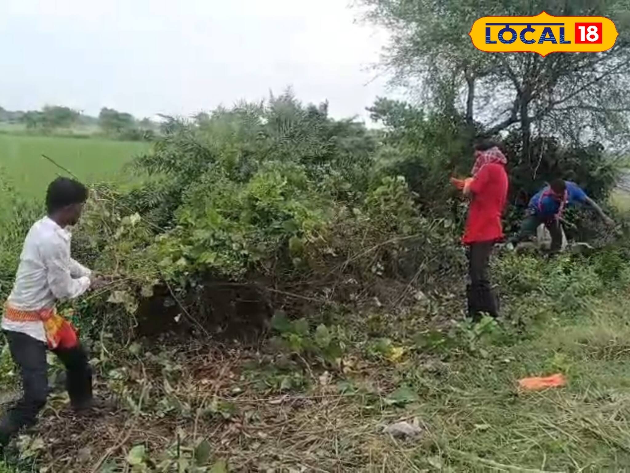 নিজের কাজ ছেড়ে অন্যের প্রাণ বাঁচাতে তিন বন্ধুর নিঃস্বার্থ লড়াই! দেখলে অবাক হবেন