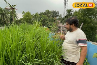 বর্ধমানের ব্যবসায়ীর দুর্দান্ত বিজনেস আইডিয়া! জমি ছেড়ে ছাদেই করছেন 'এইসব' চাষ