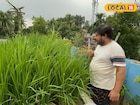 বর্ধমানের ব্যবসায়ীর দুর্দান্ত বিজনেস আইডিয়া! জমি ছেড়ে ছাদেই করছেন 'এইসব' চাষ