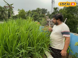 বর্ধমানের ব্যবসায়ীর দুর্দান্ত বিজনেস আইডিয়া! জমি ছেড়ে ছাদেই করছেন 'এইসব' চাষ