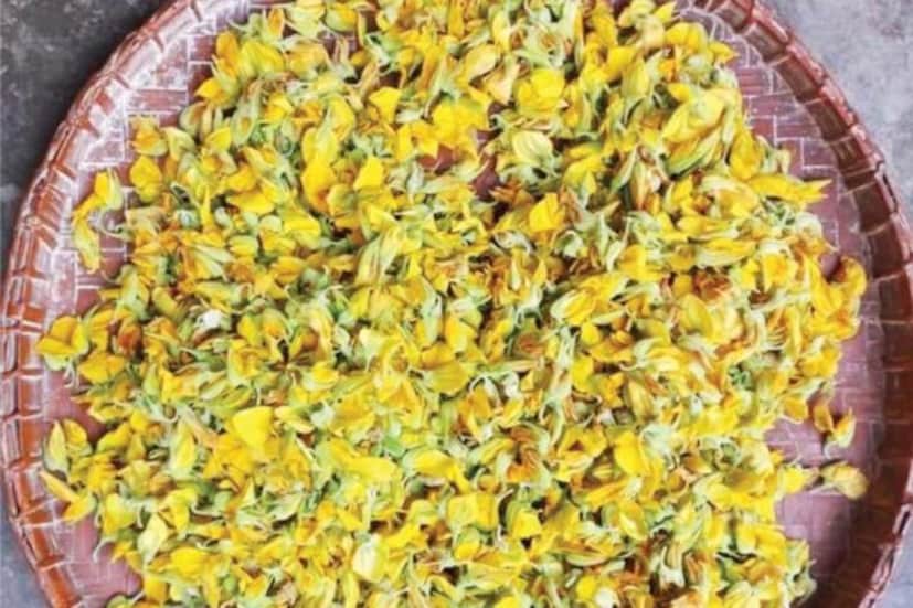 আজ এই প্রতিবেদনে এমন এক ব্রক্ষ্মাস্ত্রের হদিস দেব যা এই অক্টোবর এবং নভেম্বর মাসেই পাওয়া যায়। অদ্ভুত আয়ুর্বেদিক গুণের অধিকারী এই শাক এককথায় গ্যাস, অ্যাসিডিটির সমাধান।