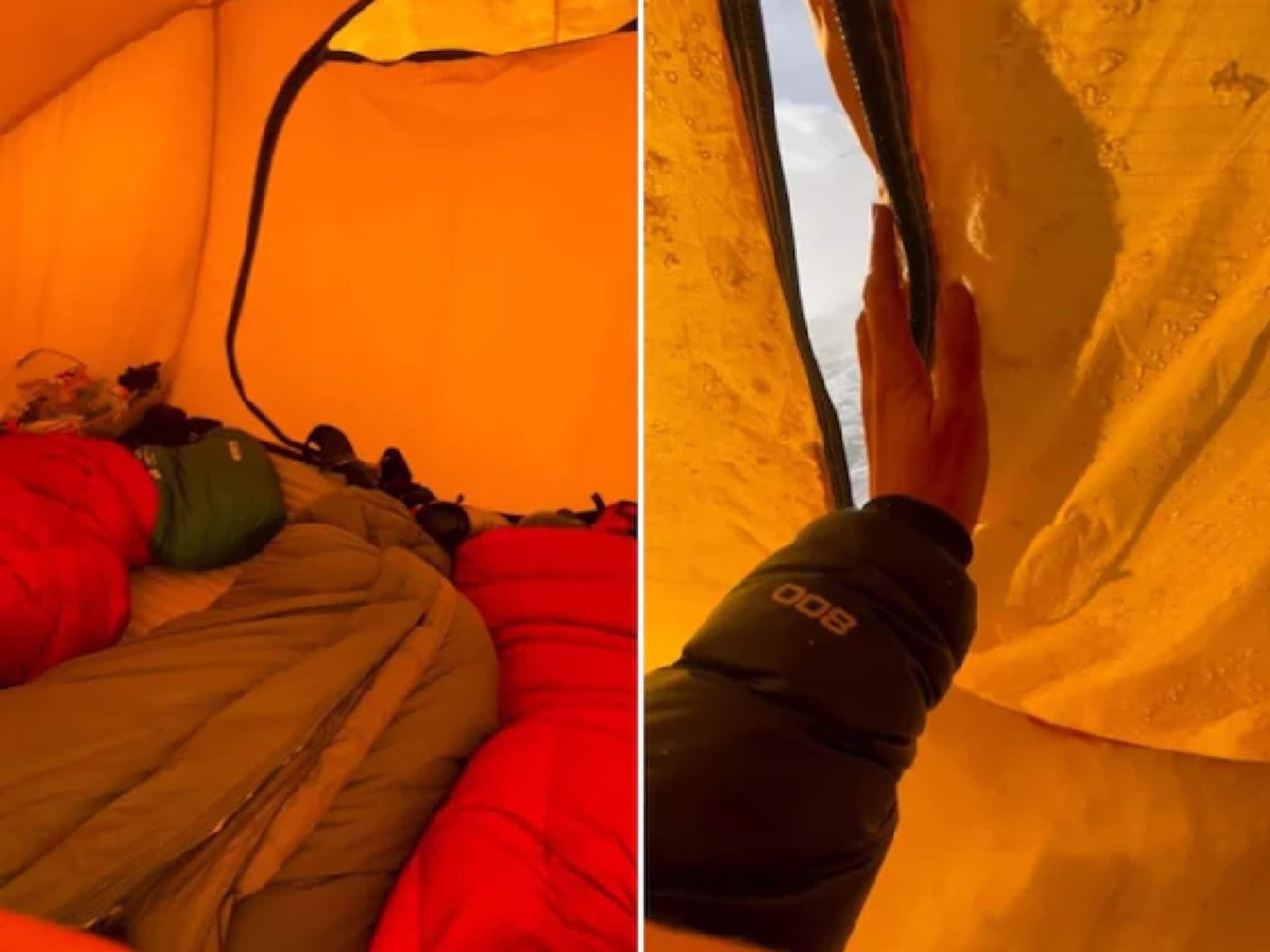 তাঁবুর ভেতরে ঘুমোচ্ছিলেন পর্বতারোহী তরুণী, সকালবেলা পর্দা সরাতেই যা দেখলেন... শিউরে উঠবেন সবাই! 