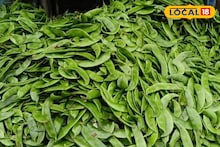 ১০০ টাকার শিম ৩০ টাকা! হুড়মুড়িয়ে দাম কমতেই মাথায় হাত চাষিদের, ফের কবে মিলবে ভাল দাম