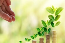 Small Savings Interest Rate: স্মল সেভিংস স্কিমের সুদের হার নিয়ে সরকারের সিদ্ধান্ত, PPF, NSC, SSY এবং অন্যান্য পোস্ট অফিস স্কিমের সুদের হার দেখে নিন
