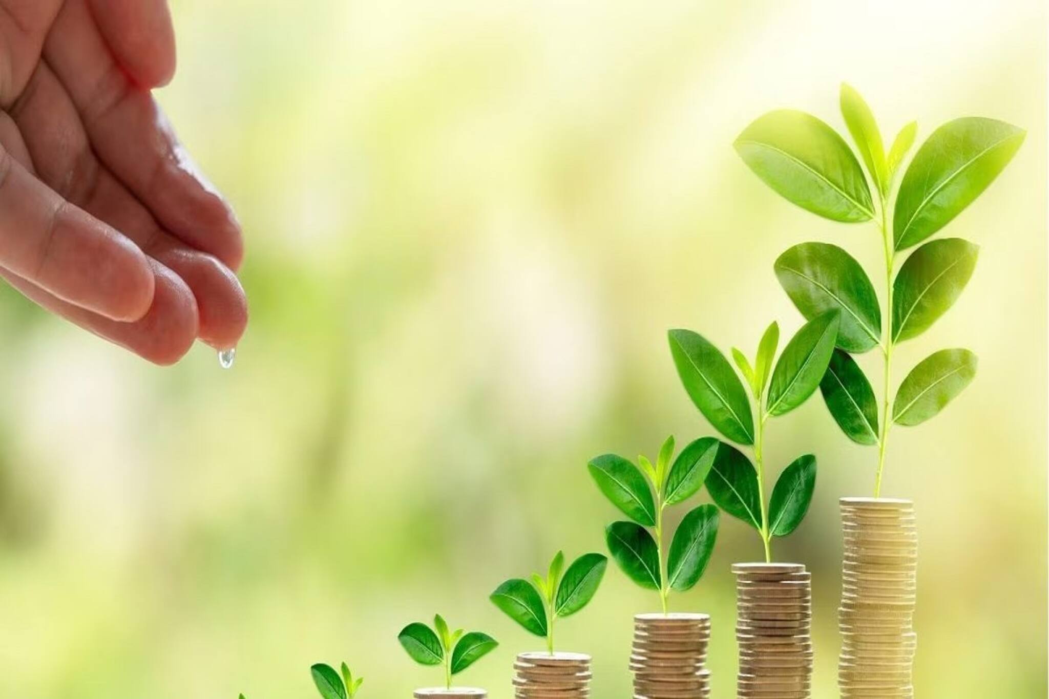 PPF, NSC, SSY এবং অন্যান্য পোস্ট অফিস স্কিমের সুদের হার দেখে নিন