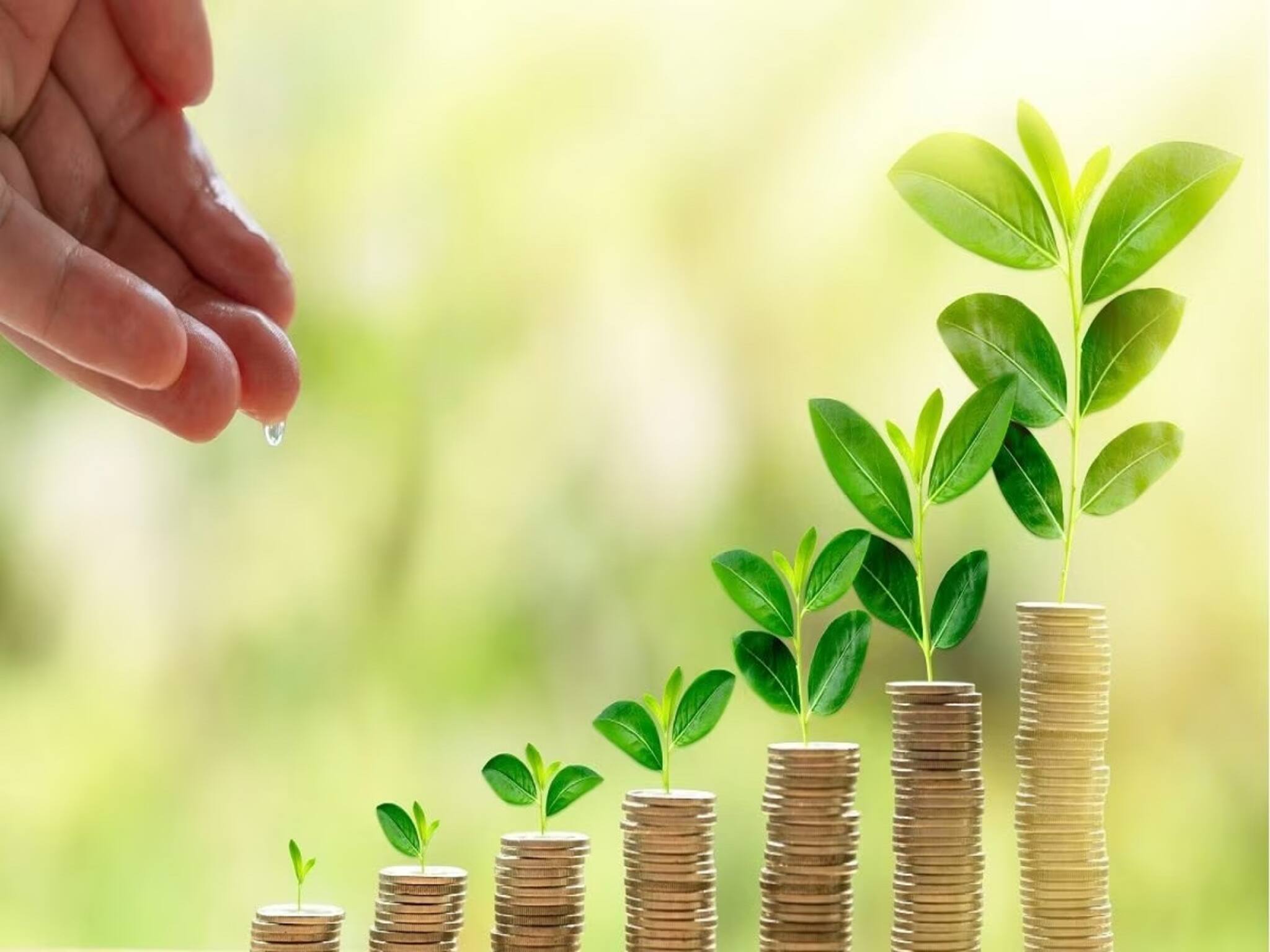 Small Savings Interest Rate: স্মল সেভিংস স্কিমের সুদের হার নিয়ে সরকারের সিদ্ধান্ত, PPF, NSC, SSY এবং অন্যান্য পোস্ট অফিস স্কিমের সুদের হার দেখে নিন