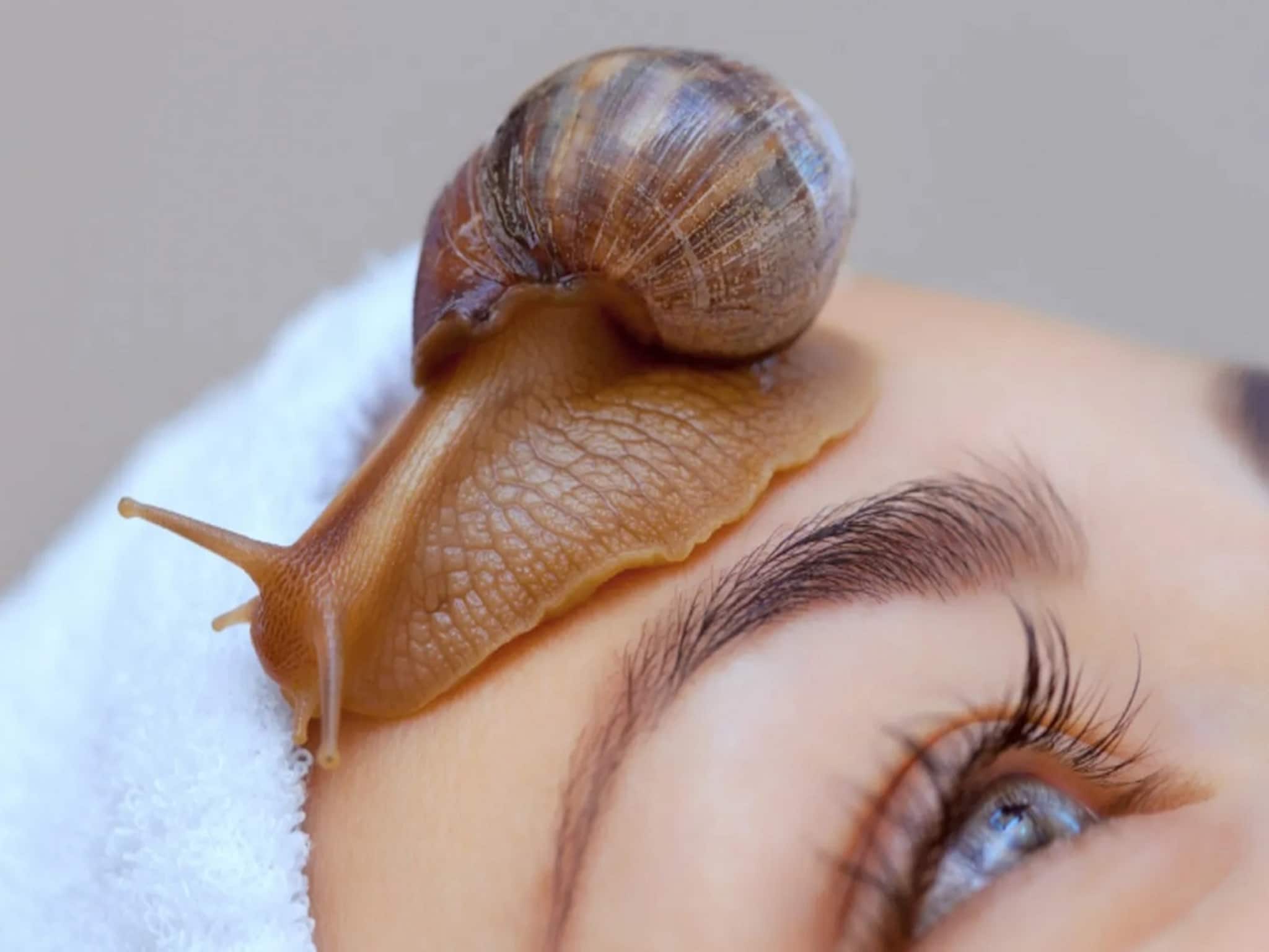 Glass Skin: শামুকের লালা থেকে তৈরি স্নেইল মিউসিন, বদলে দেবে ত্বক! মাত্র সাত দিনে পাবেন গ্লাস স্কিন! জানুন বিস্তারিত