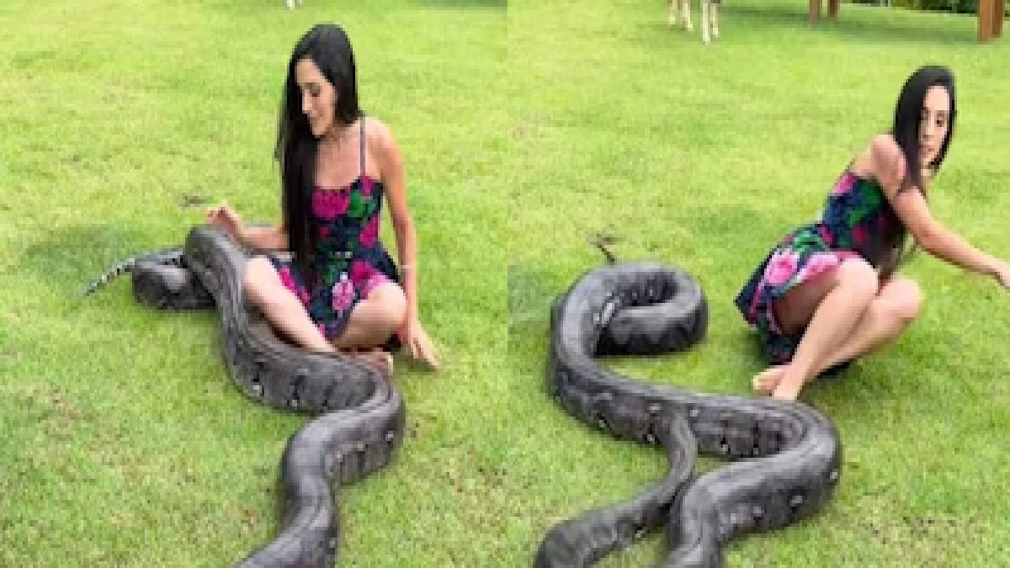 আদরের পোষা সাপের পেটেই চলে যাচ্ছিলেন! ইউটিউবার তরুণীর সঙ্গে যা হল, ভিডিও দেখলে শিউরে উঠবেন