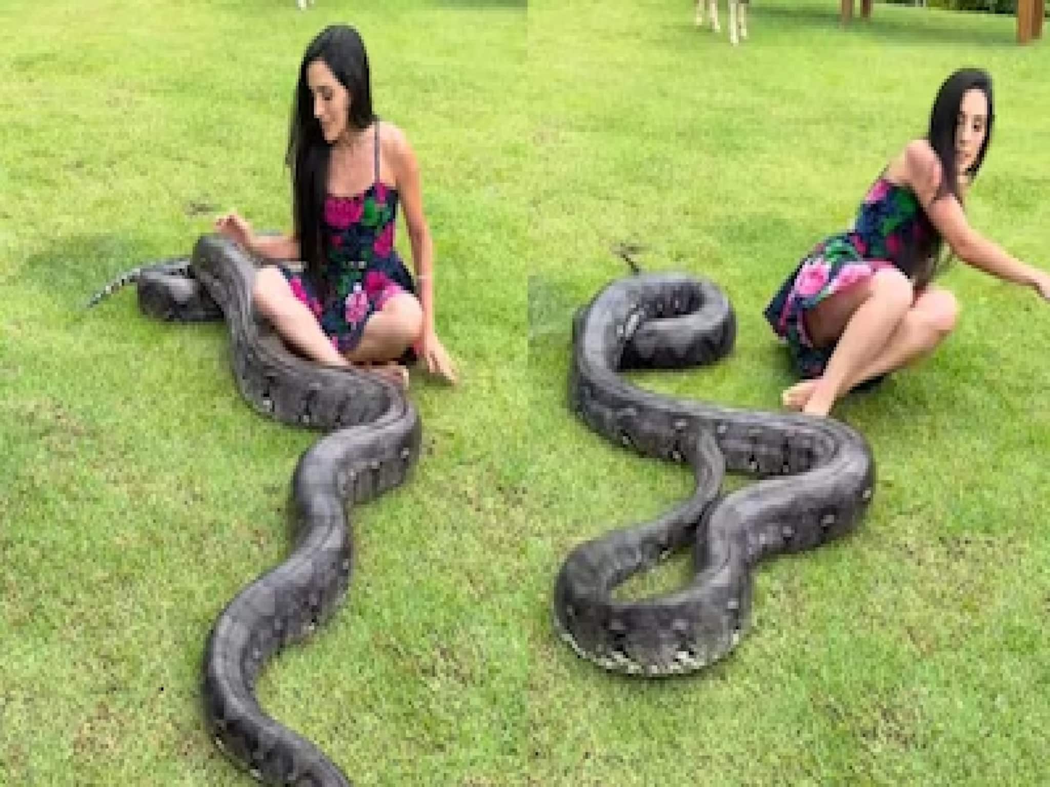 আদরের পোষা সাপের পেটেই চলে যাচ্ছিলেন! ইউটিউবার তরুণীর সঙ্গে যা হল, ভিডিও দেখলে শিউরে উঠবেন