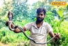 সিভিক তো নয় যেন...! ডিউটির পাশাপাশি সাপ ধরতে এক্সপার্ট, কেন করেন এসব? জানুন