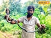 সিভিক তো নয় যেন...! ডিউটির পাশাপাশি সাপ ধরতে এক্সপার্ট, কেন করেন এসব? জানুন