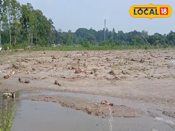 উত্তরবঙ্গের বন্যায় চা বাগানের অবস্থা দেখলে কান্না পাবে
