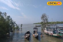 Sundarban: সুন্দরবনে পর্যটকদের বোটের নিয়মে বদল! এবার 'এই' সার্টিফিকেট না থাকলে মিলবে না এনওসি, চাপ বাড়ল মালিকদের