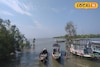 সুন্দরবনে পর্যটকদের বোটের নিয়মে বদল! এবার 'এই' সার্টিফিকেট না থাকলে মিলবে না এনওসি