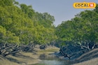 শুধু রয়েল বেঙ্গল টাইগার নয়, সুন্দবনের গর্ব ছিল আরও এক প্রাণী! কিন্তু আজ ইতিহাস