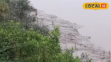 বিদ্যাধরীর