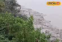 'শিরে সংক্রান্তি' সুন্দরবনের ম্যানগ্রোভ অরণ্যে, এখনই সাবধান না হলে বড় বিপদ