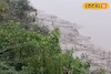 'শিরে সংক্রান্তি' সুন্দরবনের ম্যানগ্রোভ অরণ্যে, এখনই সাবধান না হলে বড় বিপদ