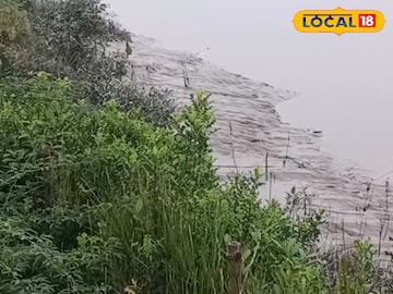বিদ্যাধরীর