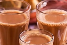 দুধ-চা তো রোজ খান, বলুন তো কেবল ভারতেই কেন চায়ের সঙ্গে দুধ মিশিয়ে খাওয়া হয়?