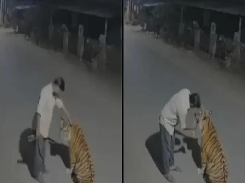 ভাইরাল পেঞ্চ টাইগার ভিডিওটি এআই দ্বারা তৈরিতথ্য-পরীক্ষকরা ইতিমধ্যেই নিশ্চিত করেছেন যে ক্লিপটি এআই দ্বারা তৈরি এবং এটি কোনও বাস্তব ঘটনা নয়। এই ভিডিওটি সোশ্যাল মিডিয়ায় ভাইরাল হওয়ার পর একাধিক ফ্যাক্ট চেক সংস্থা এই ভিডিওটির সত্যতা প্রমাণ করতে নামে৷ কার্লি টেলসের ফ্যাক্ট চেকের ভিত্তিতেই নিউজ ১৮ বাংলা এই ফ্যাক্ট চেক আর্টিকেলটি প্রকাশ করেছে৷  কোনও বিশ্বাসযোগ্য সংবাদমাধ্যম বা স্থানীয় বন বিভাগ কখনও এমন কোনও ঘটনা নথিভুক্ত করেনি৷