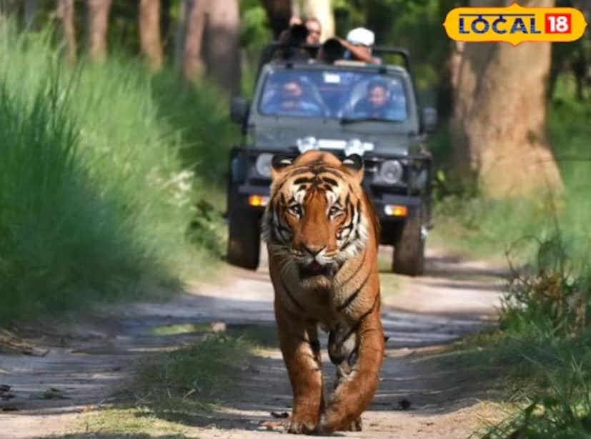 পিলিভিট টাইগার রিজার্ভের বন পাঁচটি রেঞ্জে বিভক্ত। এই পাঁচটি রেঞ্জের মধ্যে মাহোফ এবং বারাহি রেঞ্জ পর্যটনের দিক থেকে সবচেয়ে বিশিষ্ট। শারদা সাগর বাঁধ, চুকা বিচ এবং সপ্ত সরোবরের মতো অসংখ্য পর্যটন কেন্দ্র এই দুটি রেঞ্জের মধ্যে অবস্থিত।
