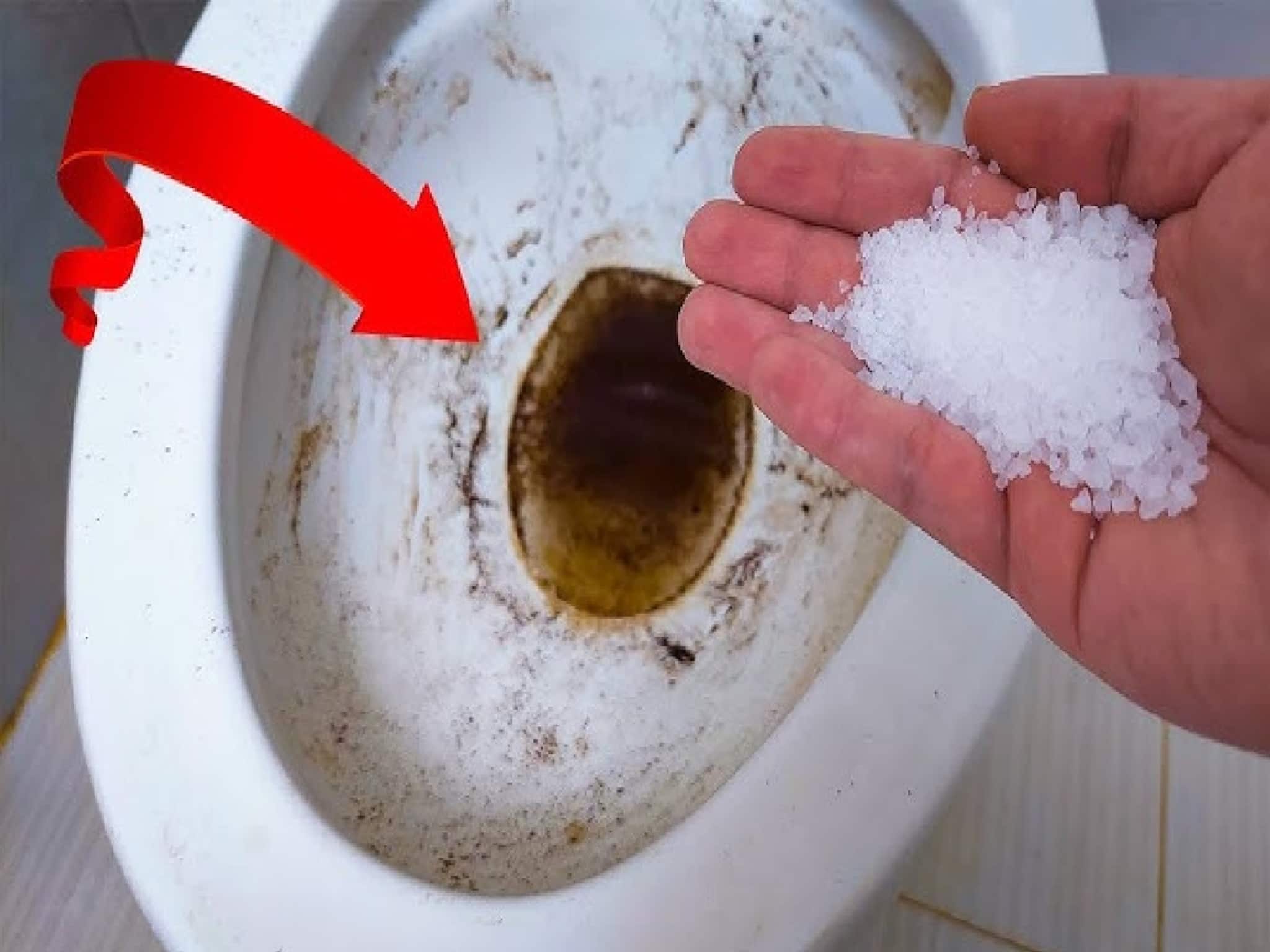 ঘিনঘিনে টয়লেট? দুর্গন্ধে ঢোকা যায় না? এক 'চিমটে' নুনেই মিলবে আশ্চর্য ফল! কী ভাবে? জানুন