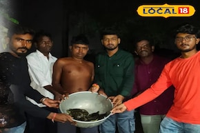 Midnight Rescue: রাতের অন্ধকারে ওরা নিয়ে চলে যাচ্ছিল ওইগুলো, কিন্তু শেষরক্ষা হল না